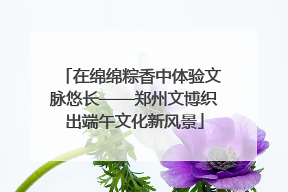 在绵绵粽香中体验文脉悠长——郑州文博织出端午文化新风景