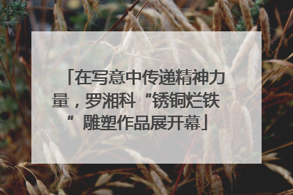 在写意中传递精神力量，罗湘科“锈铜烂铁”雕塑作品展开幕
