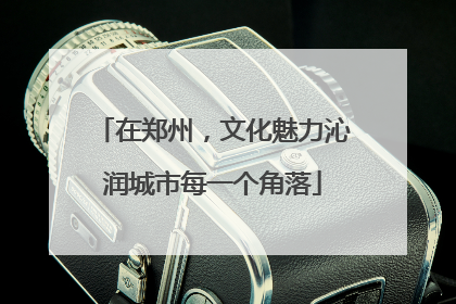 在郑州，文化魅力沁润城市每一个角落