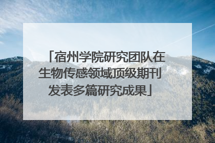 宿州学院研究团队在生物传感领域顶级期刊发表多篇研究成果