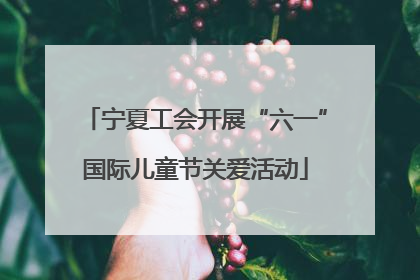 宁夏工会开展“六一”国际儿童节关爱活动