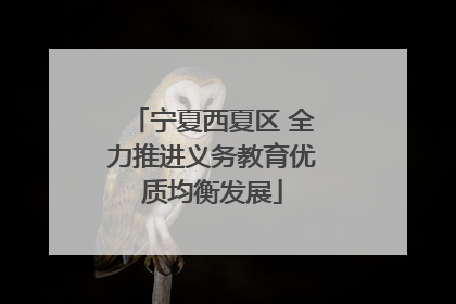 宁夏西夏区 全力推进义务教育优质均衡发展