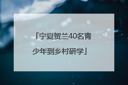 宁夏贺兰40名青少年到乡村研学