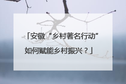 安徽“乡村著名行动”如何赋能乡村振兴？