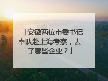 安徽两位市委书记率队赴上海考察，去了哪些企业？