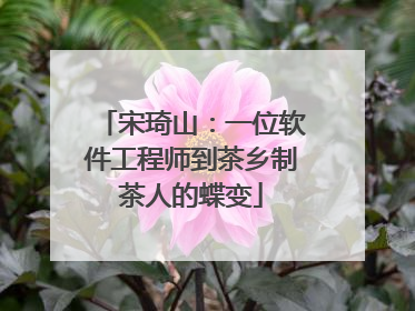 宋琦山：一位软件工程师到茶乡制茶人的蝶变