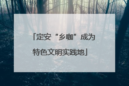 定安“乡咖”成为特色文明实践地