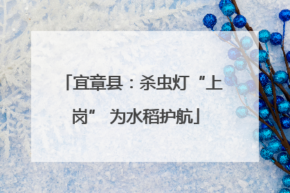 宜章县：杀虫灯“上岗” 为水稻护航