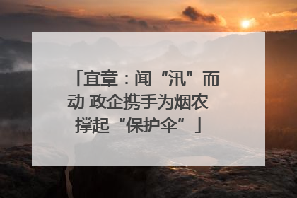 宜章：闻“汛”而动 政企携手为烟农撑起“保护伞”