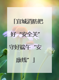 宜城消防把好“安全关”守好端午“安康线”