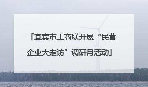 宜宾市工商联开展“民营企业大走访”调研月活动