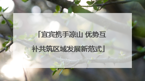宜宾携手凉山 优势互补共筑区域发展新范式