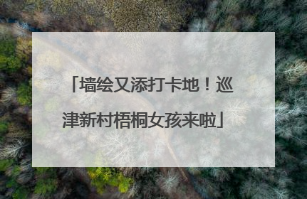 墙绘又添打卡地！巡津新村梧桐女孩来啦