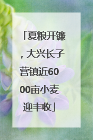 夏粮开镰，大兴长子营镇近6000亩小麦迎丰收