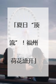夏日“顶流”！福州荷花盛开