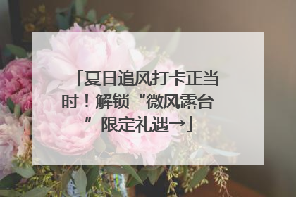 夏日追风打卡正当时！解锁“微风露台”限定礼遇→