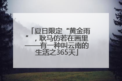 夏日限定“黄金雨”，耿马仿若在画里——有一种叫云南的生活之365天