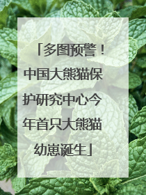 多图预警！中国大熊猫保护研究中心今年首只大熊猫幼崽诞生