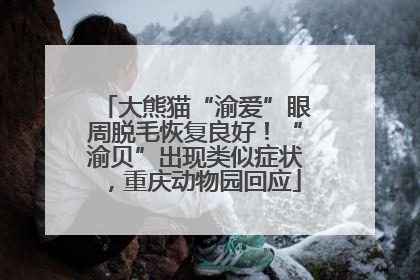 大熊猫“渝爱”眼周脱毛恢复良好！“渝贝”出现类似症状，重庆动物园回应