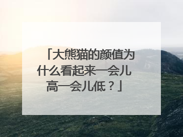 大熊猫的颜值为什么看起来一会儿高一会儿低？