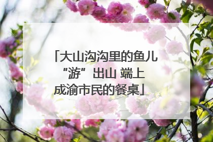 大山沟沟里的鱼儿 “游”出山 端上成渝市民的餐桌