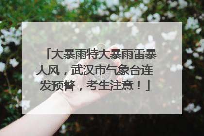 大暴雨特大暴雨雷暴大风，武汉市气象台连发预警，考生注意！