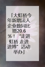 大虹桥今年新增法人企业数同比增20.6%！“走进虹桥 走进进博”活动举办