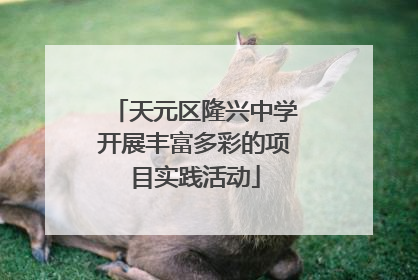 天元区隆兴中学开展丰富多彩的项目实践活动