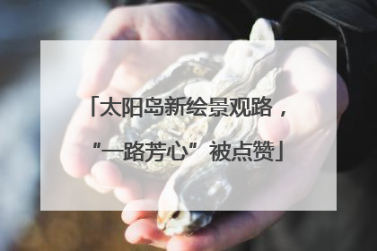 太阳岛新绘景观路，“一路芳心”被点赞