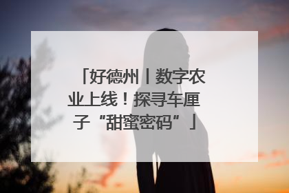 好德州丨数字农业上线！探寻车厘子“甜蜜密码”