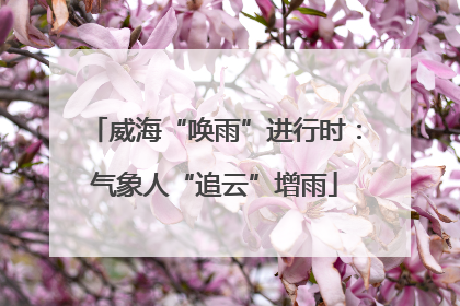 威海“唤雨”进行时：气象人“追云”增雨