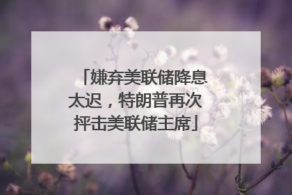 嫌弃美联储降息太迟，特朗普再次抨击美联储主席