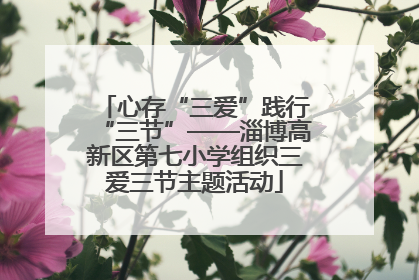 心存“三爱”践行“三节”——淄博高新区第七小学组织三爱三节主题活动