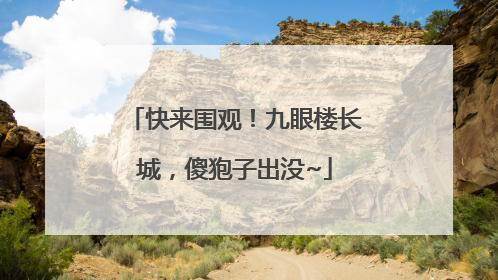 快来围观！九眼楼长城，傻狍子出没~