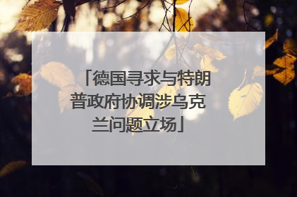 德国寻求与特朗普政府协调涉乌克兰问题立场