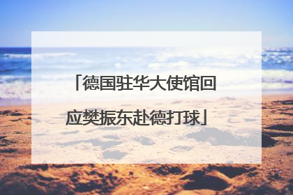 德国驻华大使馆回应樊振东赴德打球