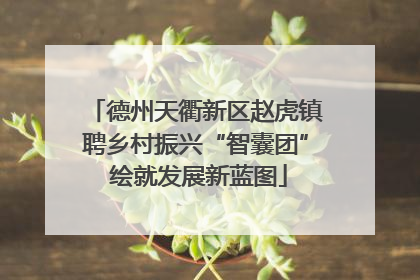 德州天衢新区赵虎镇聘乡村振兴“智囊团” 绘就发展新蓝图