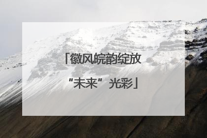 徽风皖韵绽放“未来”光彩