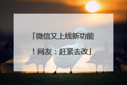 微信又上线新功能！网友：赶紧去改