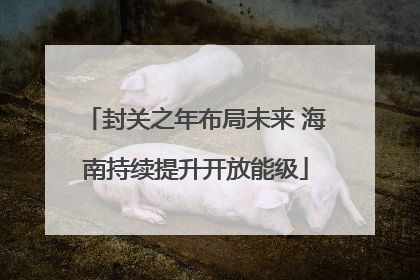 封关之年布局未来 海南持续提升开放能级