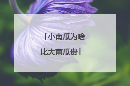 小南瓜为啥比大南瓜贵