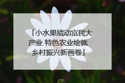 小水果撬动富民大产业 特色农业绘就乡村振兴新画卷