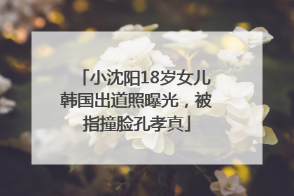 小沈阳18岁女儿韩国出道照曝光，被指撞脸孔孝真