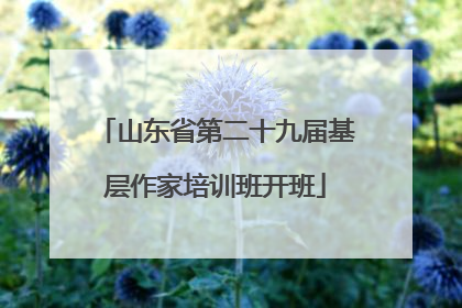 山东省第二十九届基层作家培训班开班