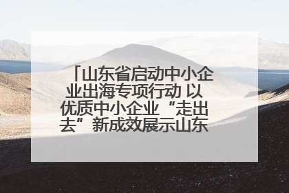 山东省启动中小企业出海专项行动 以优质中小企业“走出去”新成效展示山东产业发展新形象