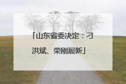 山东省委决定：刁洪斌、荣刚履新