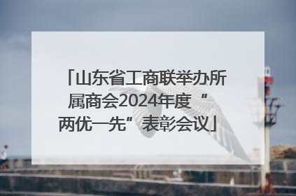 山东省工商联举办所属商会2024年度“两优一先”表彰会议