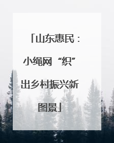 山东惠民：小绳网“织”出乡村振兴新图景