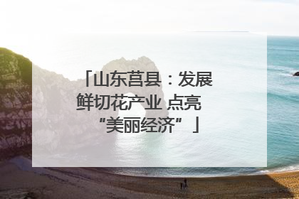 山东莒县：发展鲜切花产业 点亮“美丽经济”