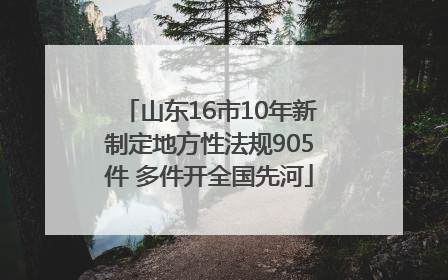 山东16市10年新制定地方性法规905件 多件开全国先河
